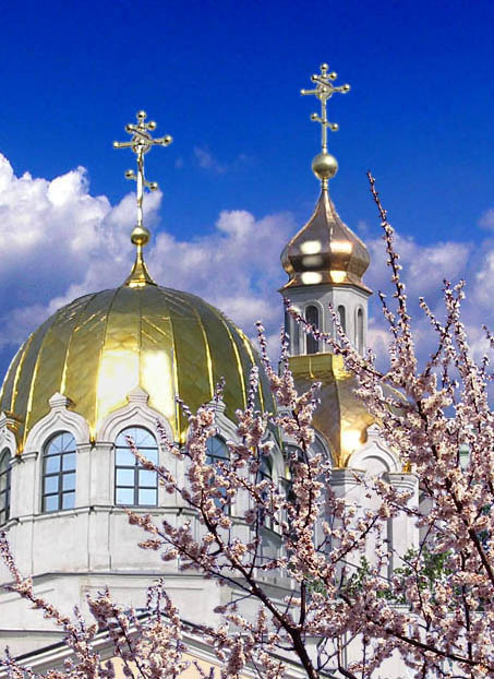 Золотые купола 
