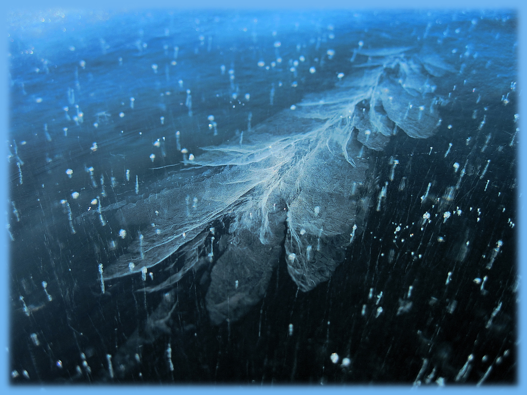 подледный мотылек Баййкал весна природа красота сибирь