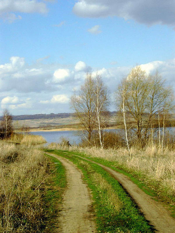 Весенний день 