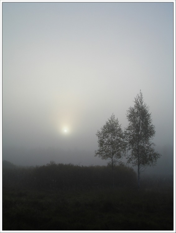 Безмятежность Туман