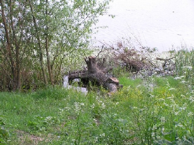 Берег Удая 