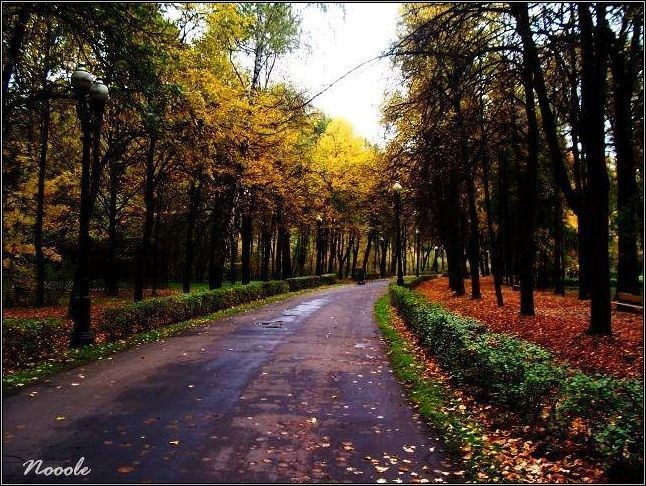 Осенний парк осень, парк