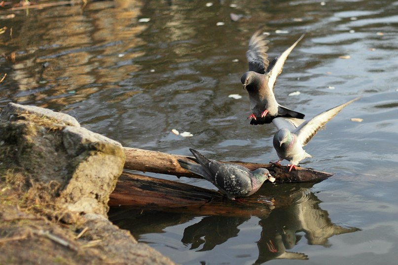 0248 