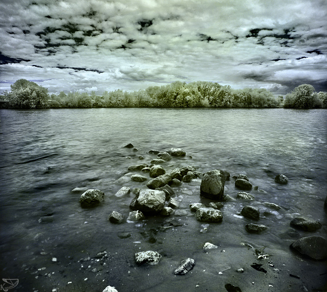 *** (Nature-InfraRed) 