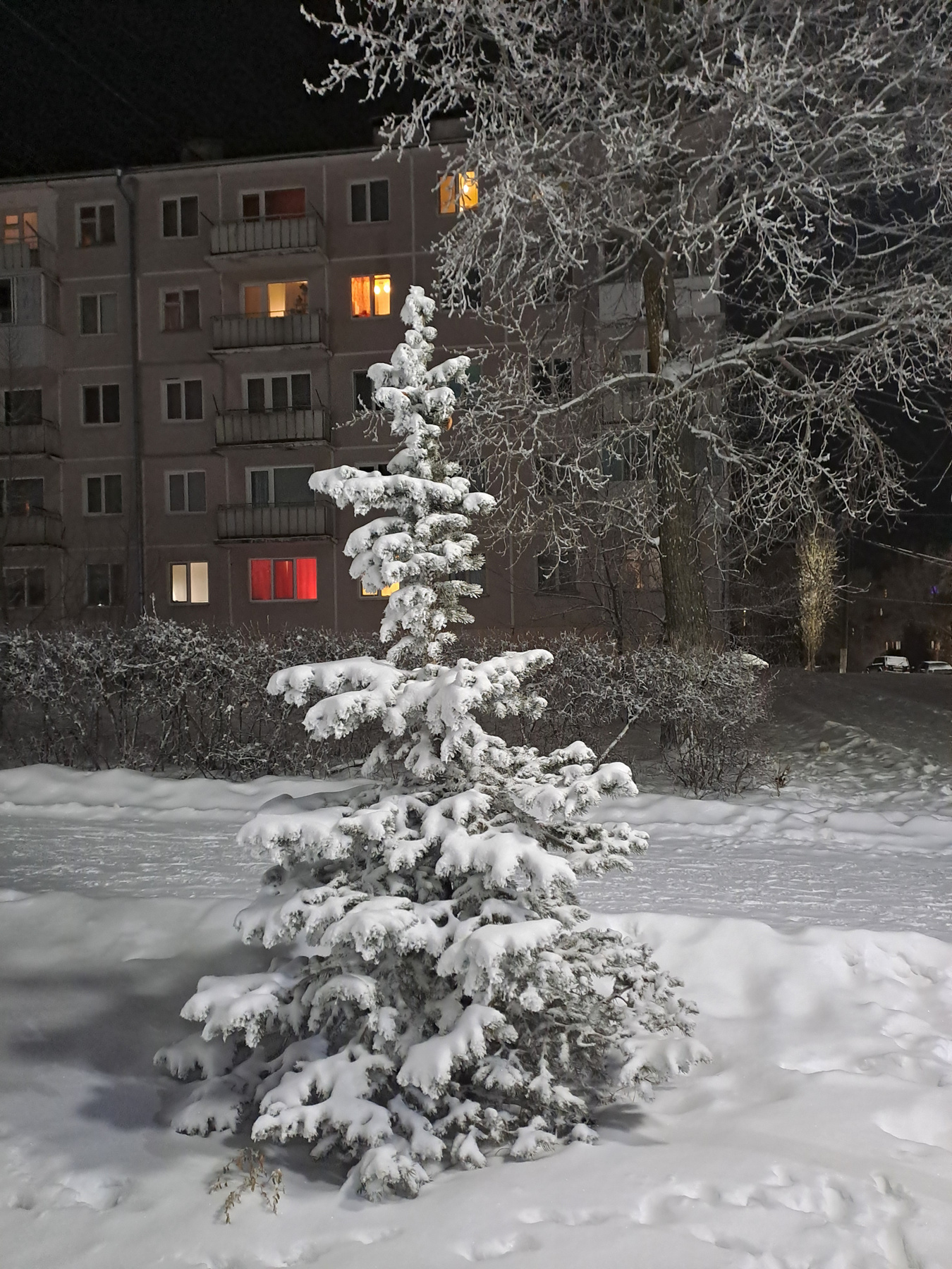 Новогодняя 