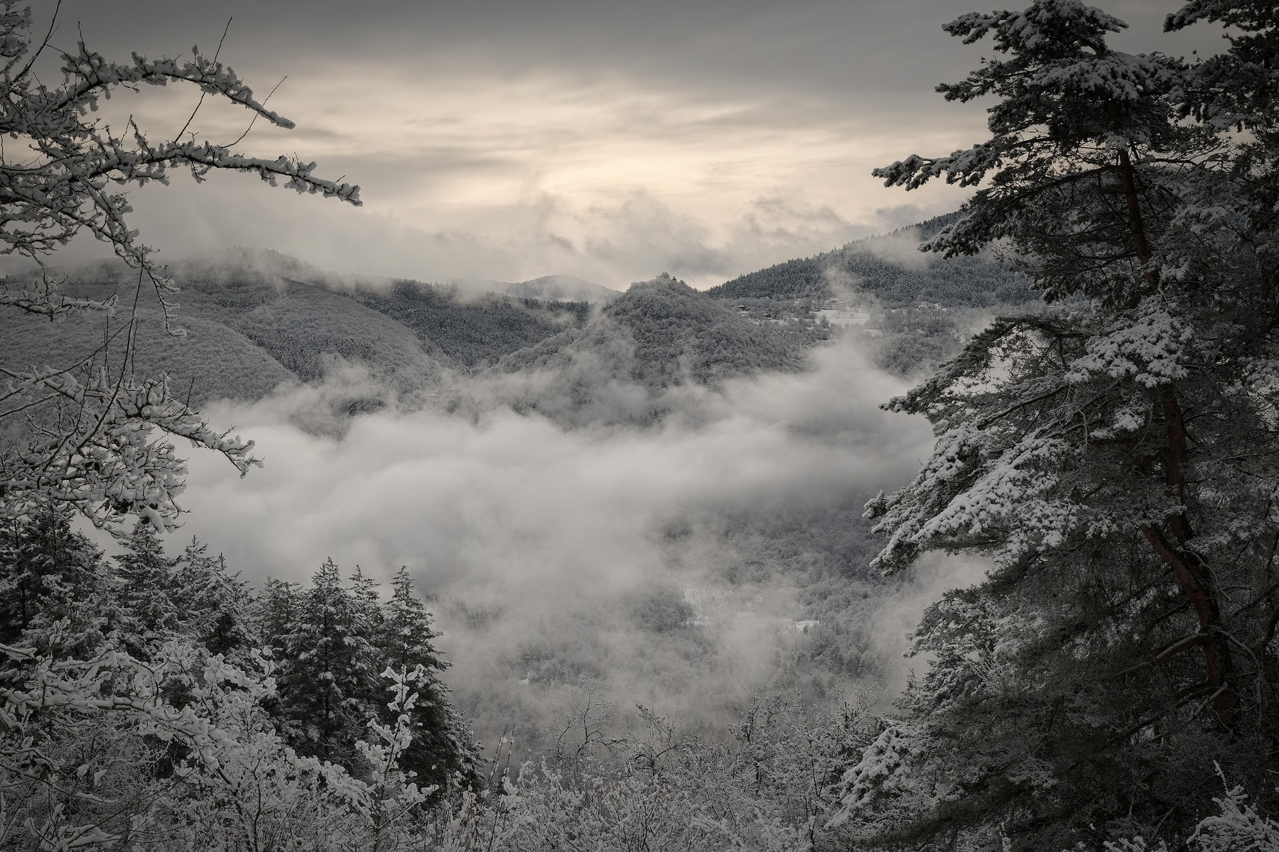Racha Under Snow racha snow february amrolauri overcast clouds winter forest mountains landscape scenery travel outdoors georgia sakartvelo chizh