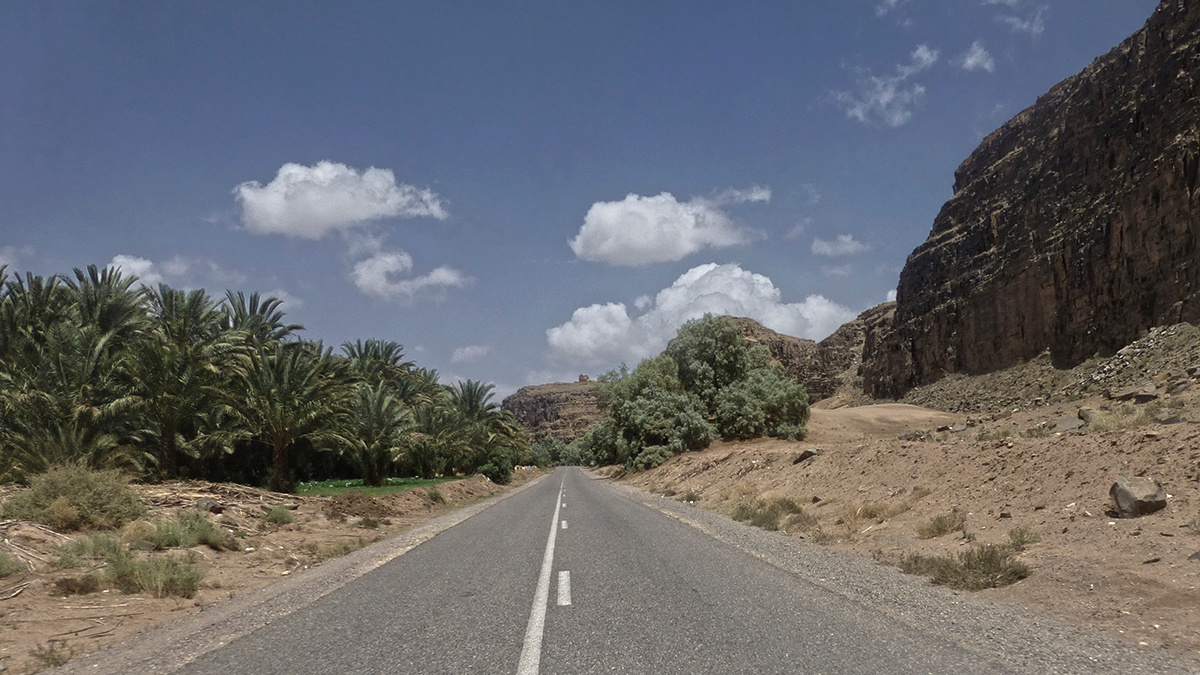 оазис Тинзулин вдоль реки Драа Марокко Morocco Тинзулин Tinzouline Загора Zagora река Драа Draa пойма оазис дорога carretera