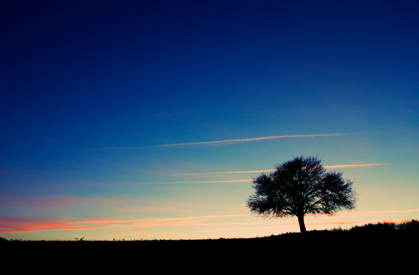 The colours of the night 