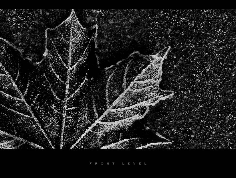FROST LEVEL 
