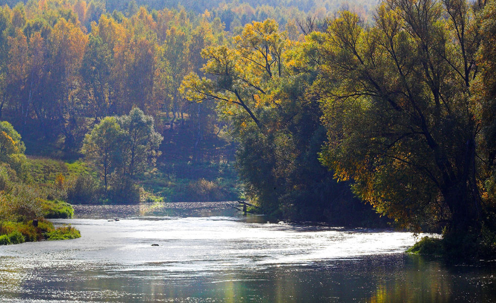 Осень на реке Осётр 