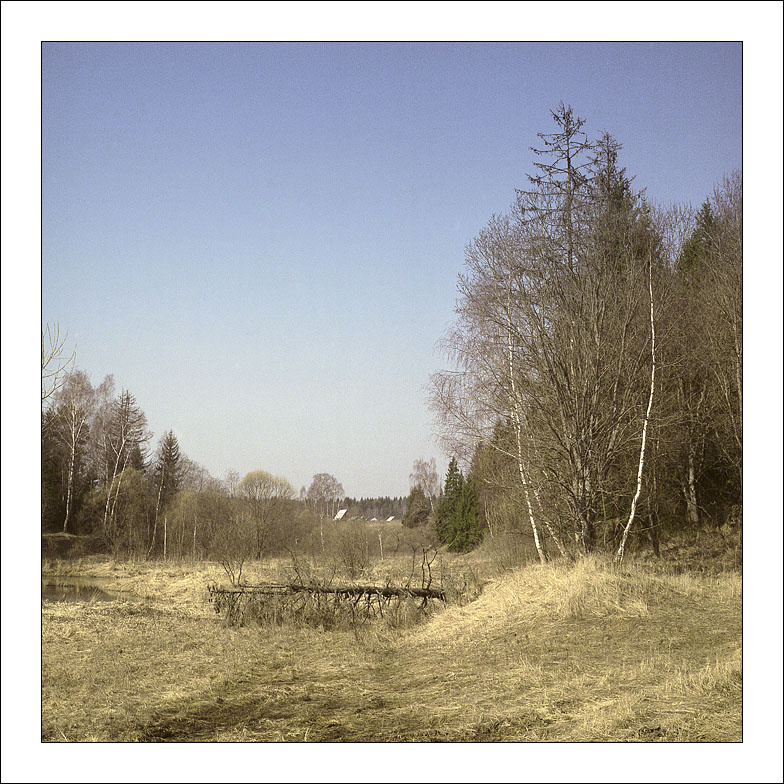 Весенние зарисовки 2007 