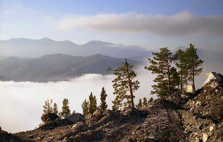 между облаками горы туман сосны