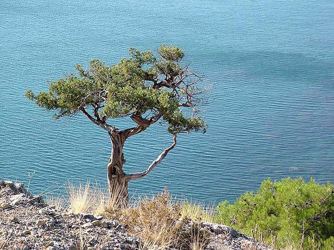 ** ** ** крым новый свет море горы