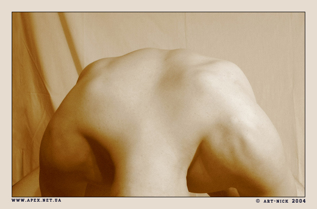 back 
