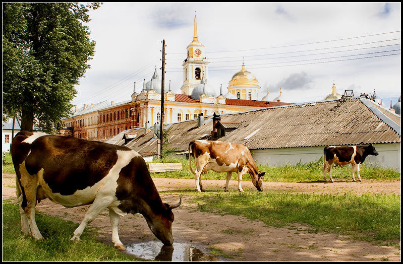 Нилова Пустынь. 