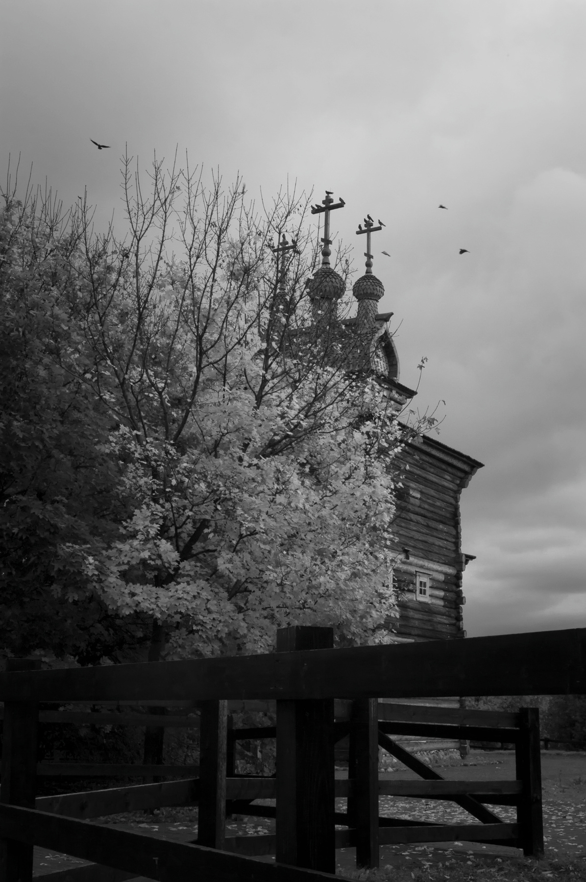 Налетели вороны ч/б, опричнина