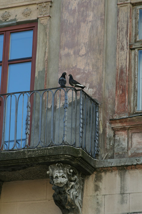 Love and Dove 