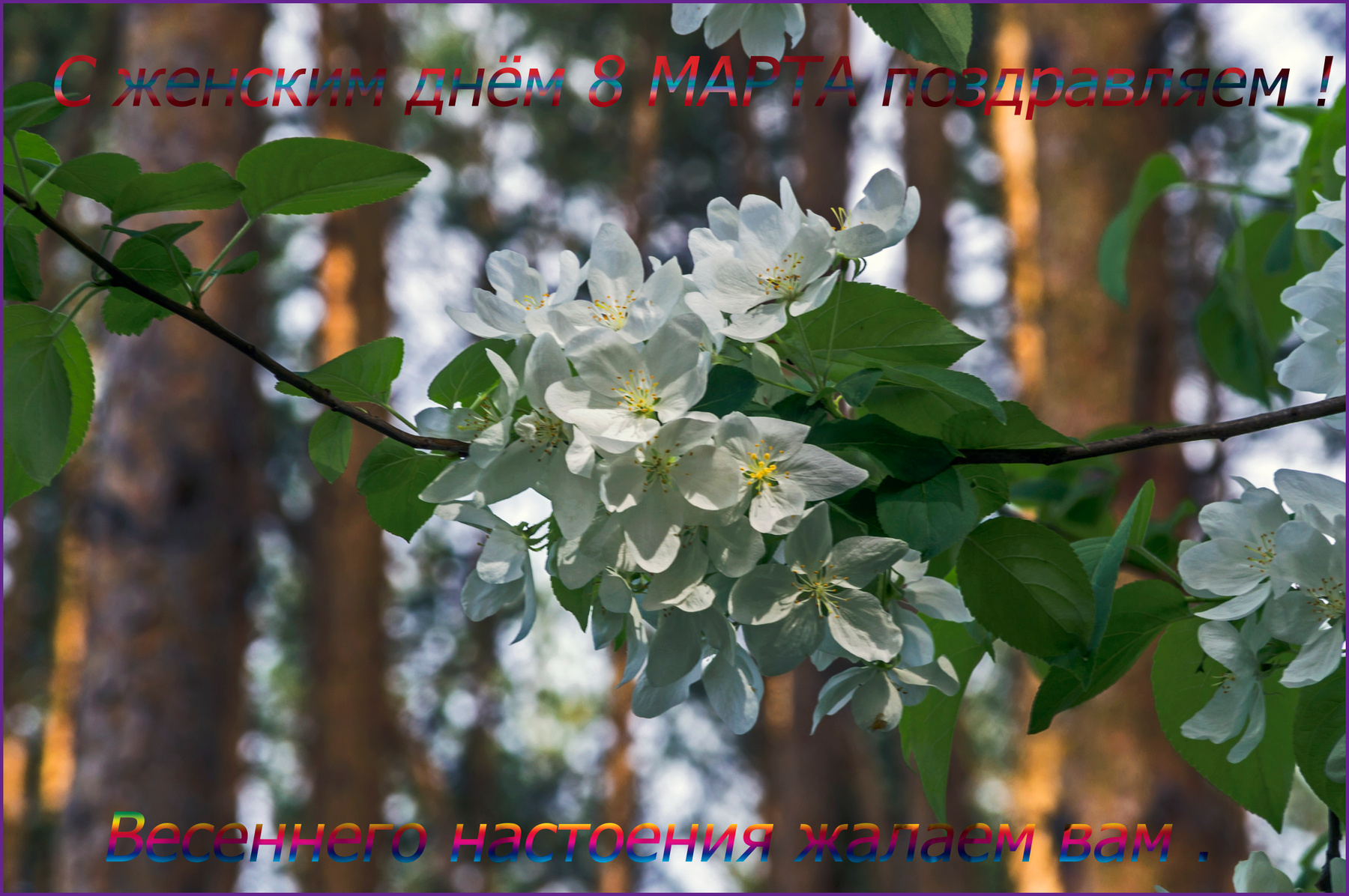 С 8 МАРТА . 