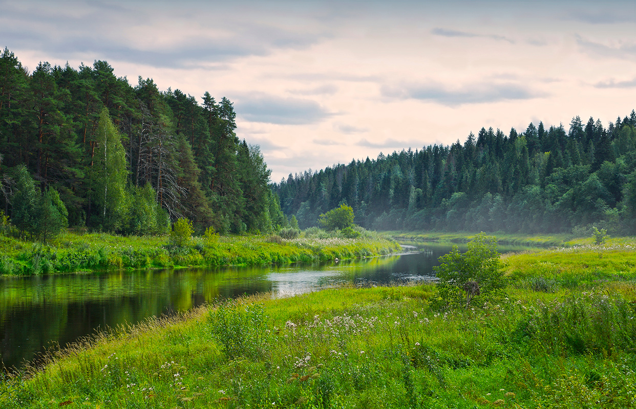 На реке река конец лета глубинка