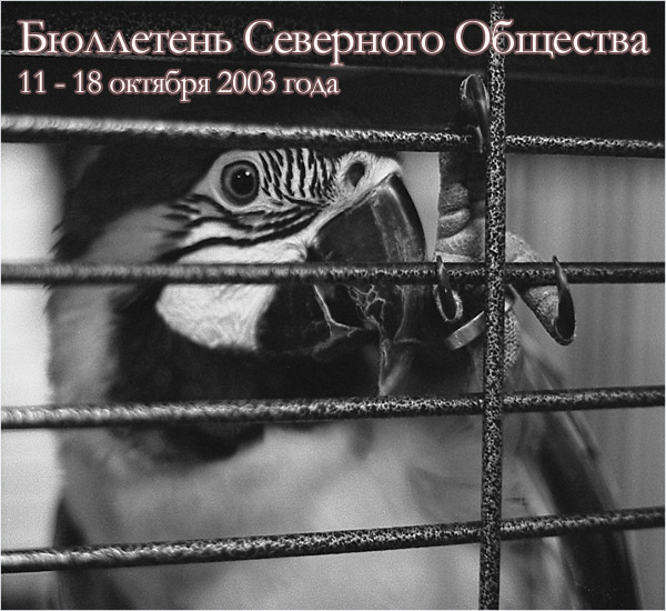 Бюллетень Северного Общества за 11 - 18 октября 2003 года Свободу Попугаям