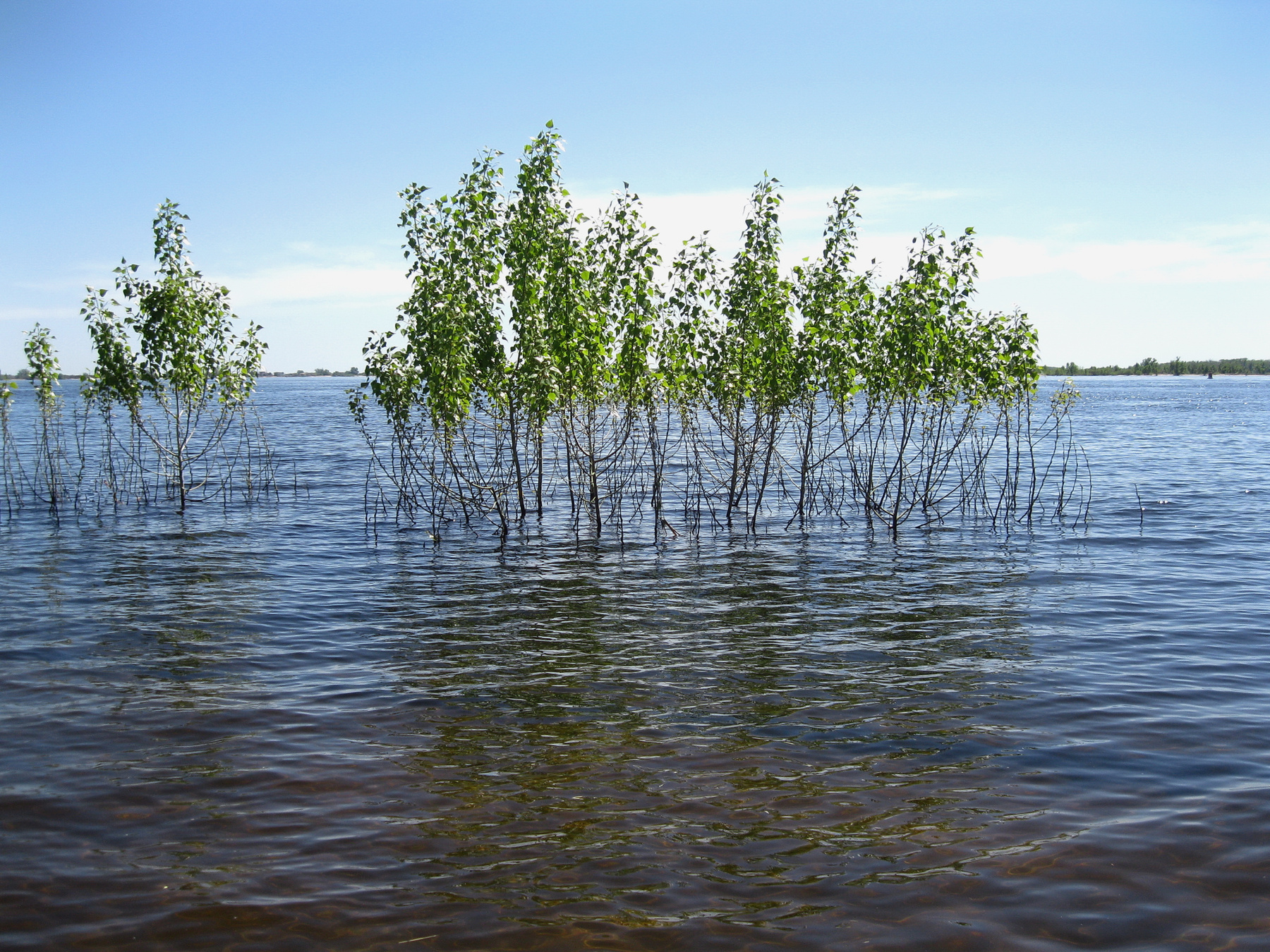 ...кругом вода... Природа весна река Волга 
