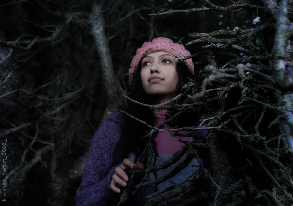 deep_forest_inside 