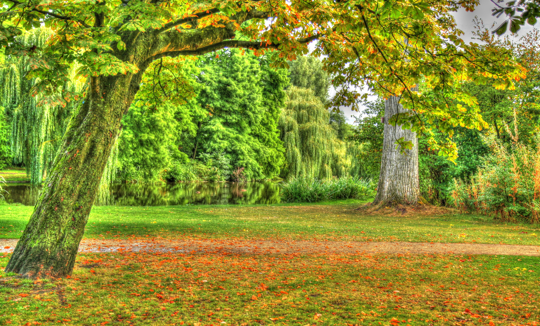 Vpark hdr, autumn, amsterdam, holland,