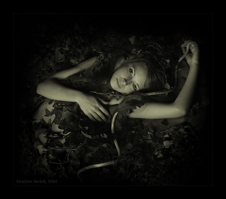 Moonlight fairy 