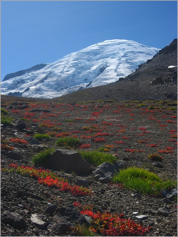 В горы пришла осень Mt. Rainier