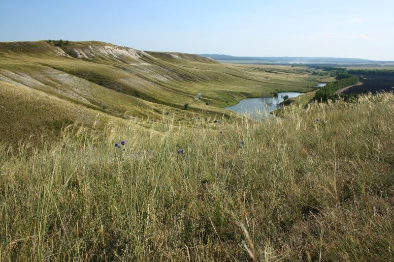 Горки Горка, речка, мел
