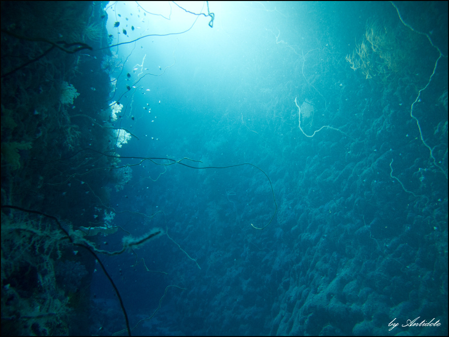 Там за углом море, дайвинг, свет, red sea, diving