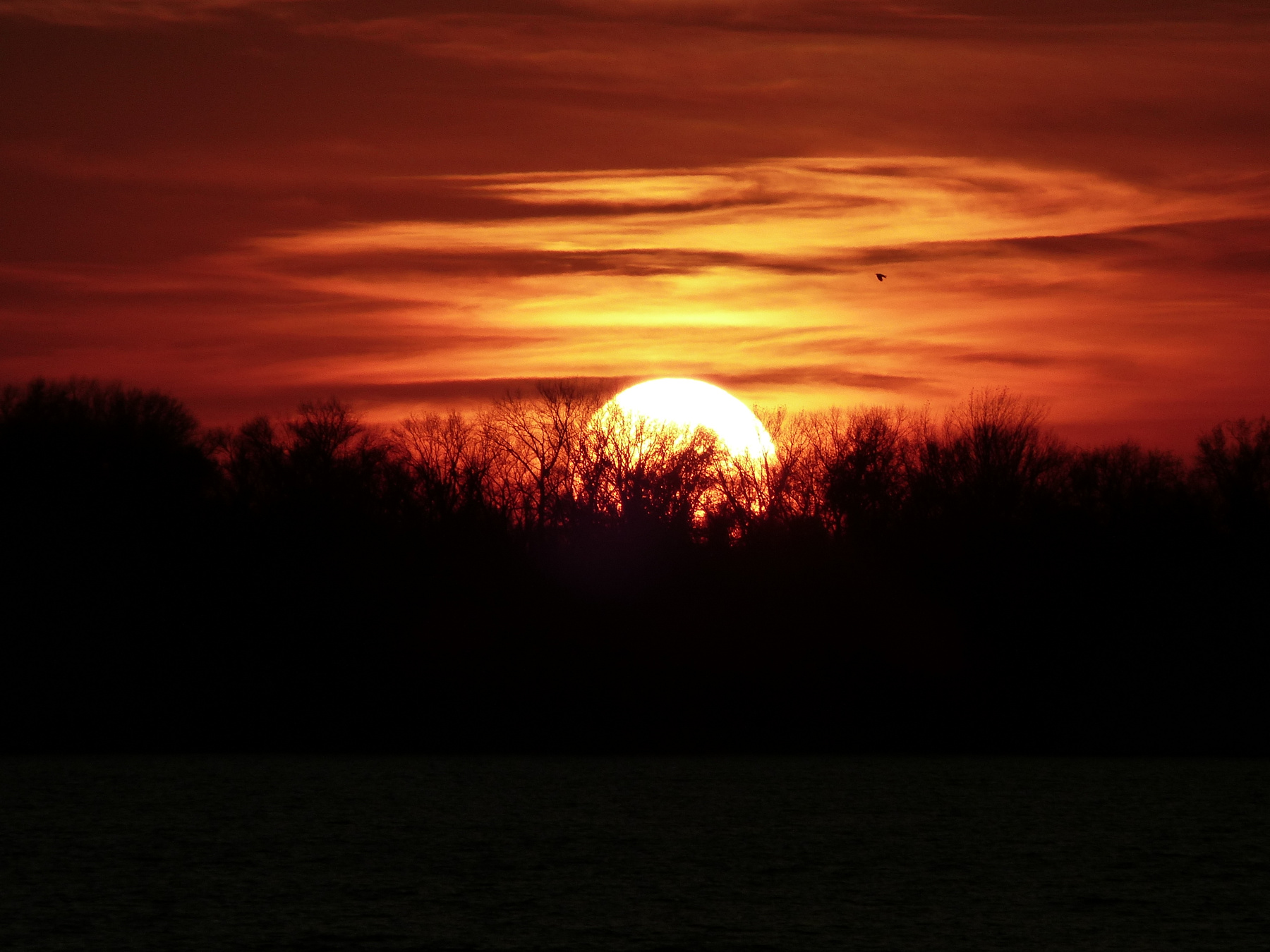 Закат. Страшная сказка. Закат Sunset