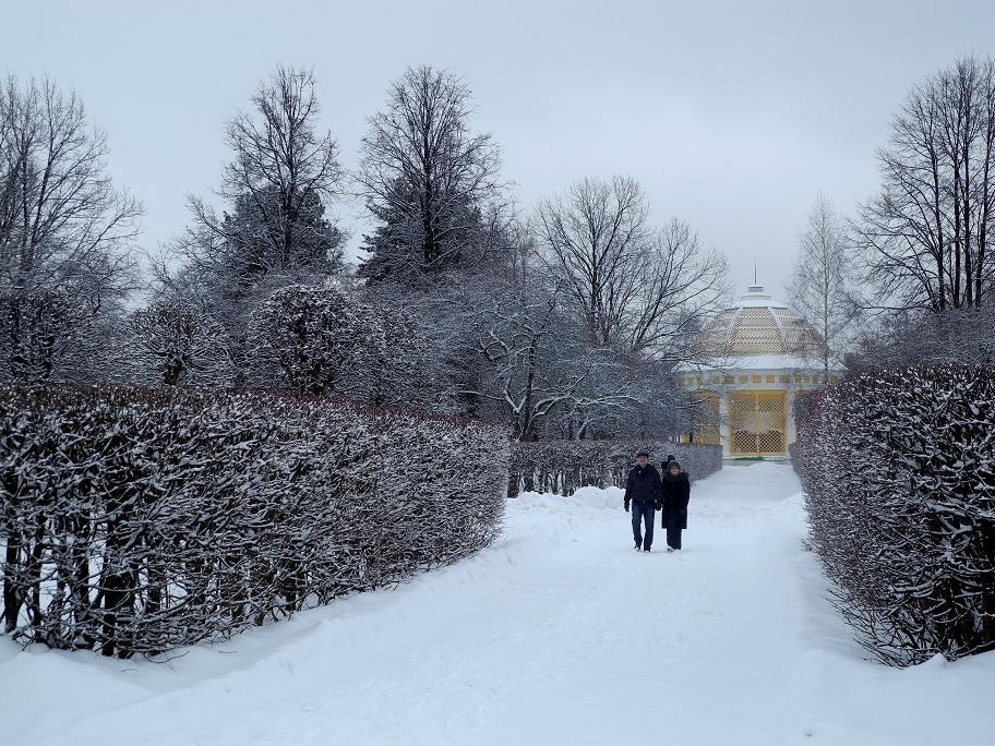 Прогулка в Зимнем парке Зима снег Кусково парк Вольер пара пасмурно аллея
