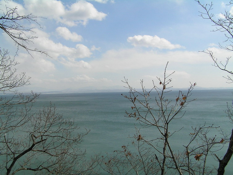 *** Небо, море, облака, ветки