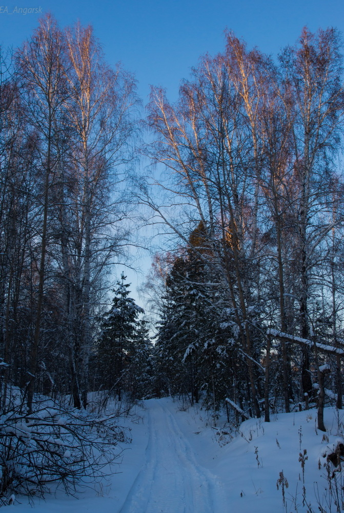 вечер 