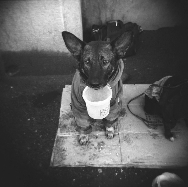 ^^ holga хольга