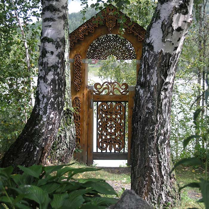 Берёзовый берег Алтай, Катунь, август, Берёзовый берег