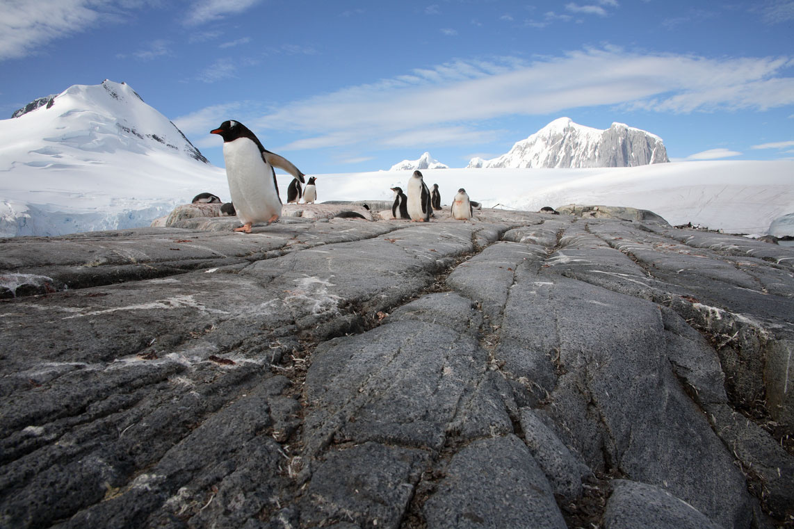 Antarctic 21 Port Lockroy road