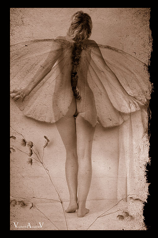 Batterfly 