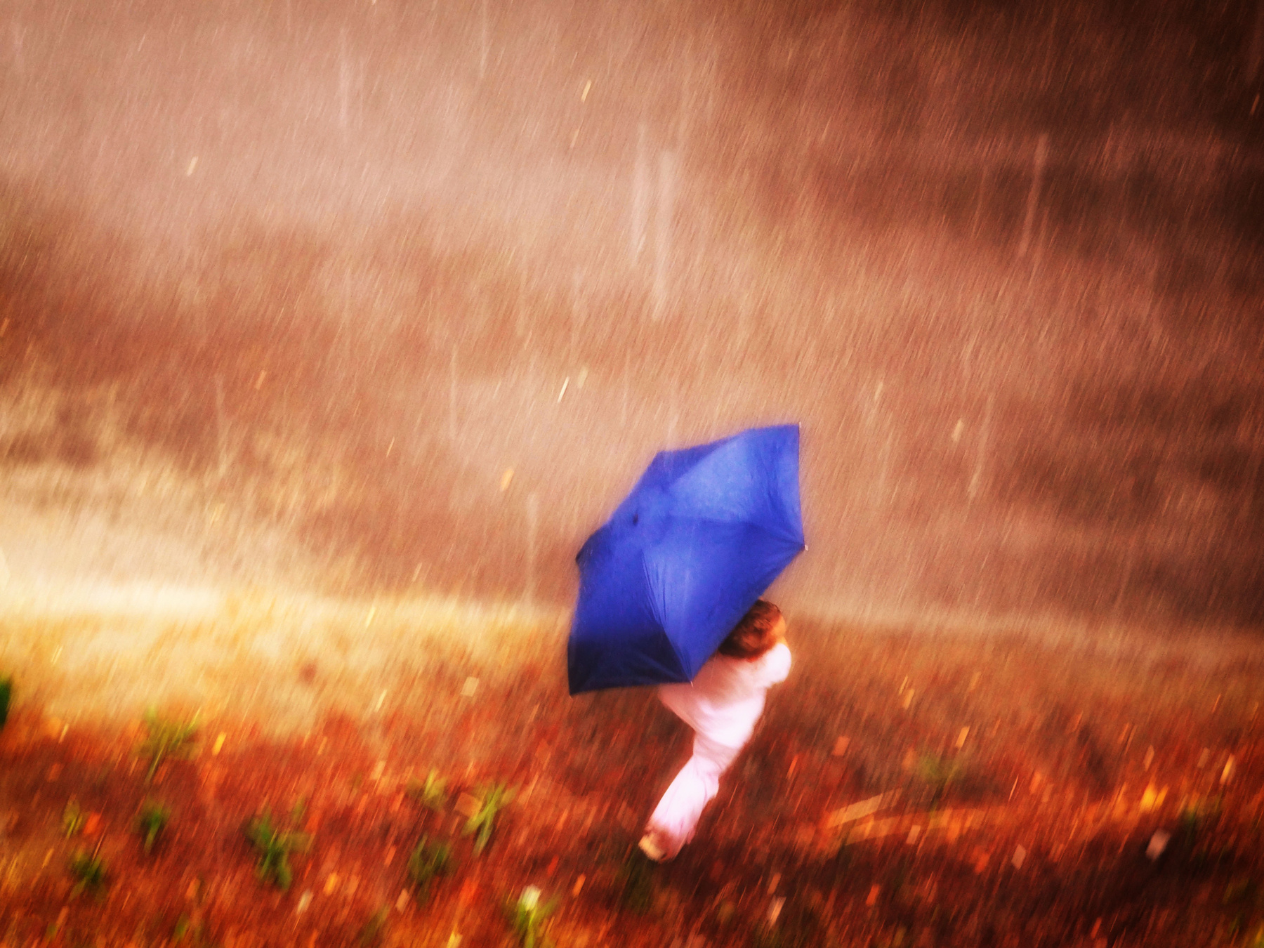 Once upon in the rain 