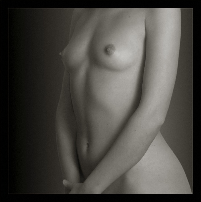 torso 