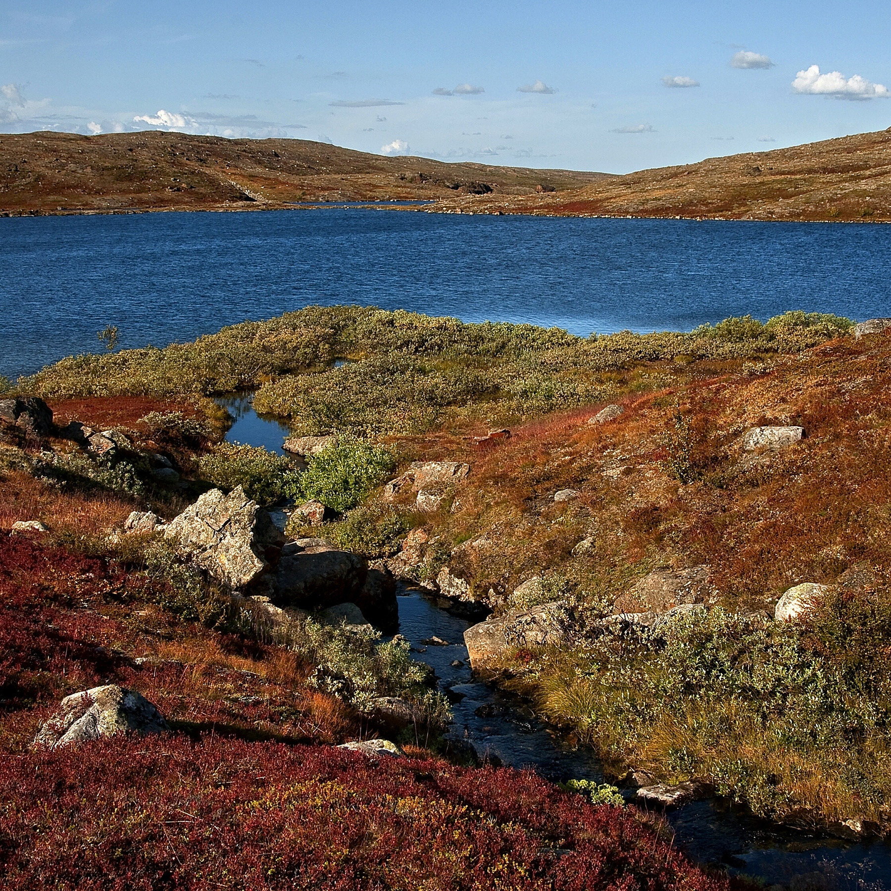 polar landscape - Petsamontunturit 