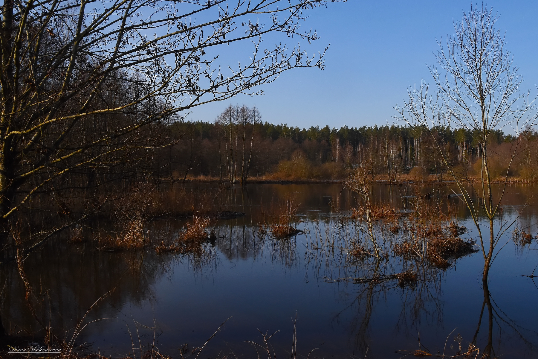 ВЕСНА НА РЕКЕ. пейзаж река природа разлив весна