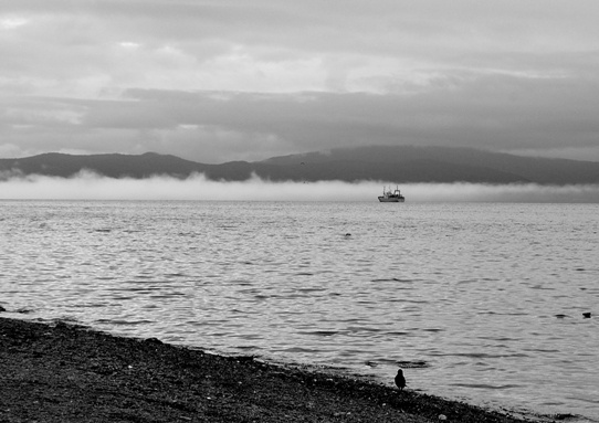 On the horizon 