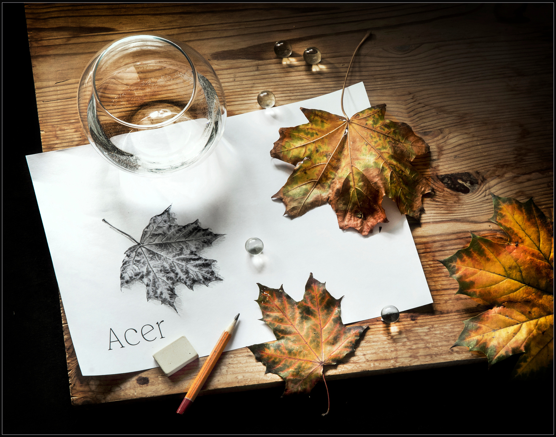 Acer 
