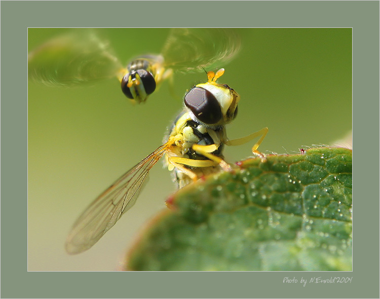 ***Хорош сидеть, полетели...*** 