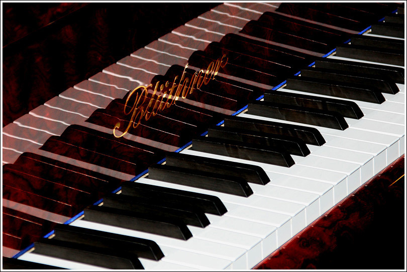[яинежарто|отражения] piano