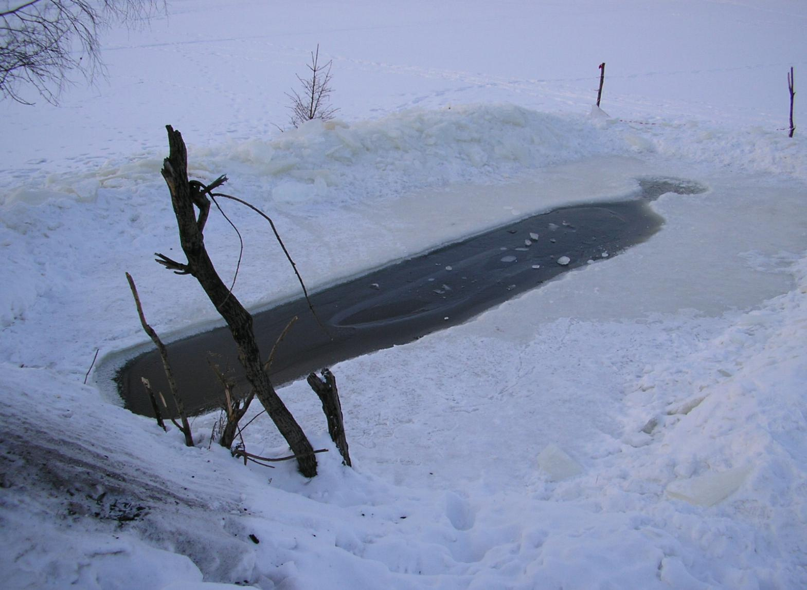 А где же моржи? моржи прорубь зима
