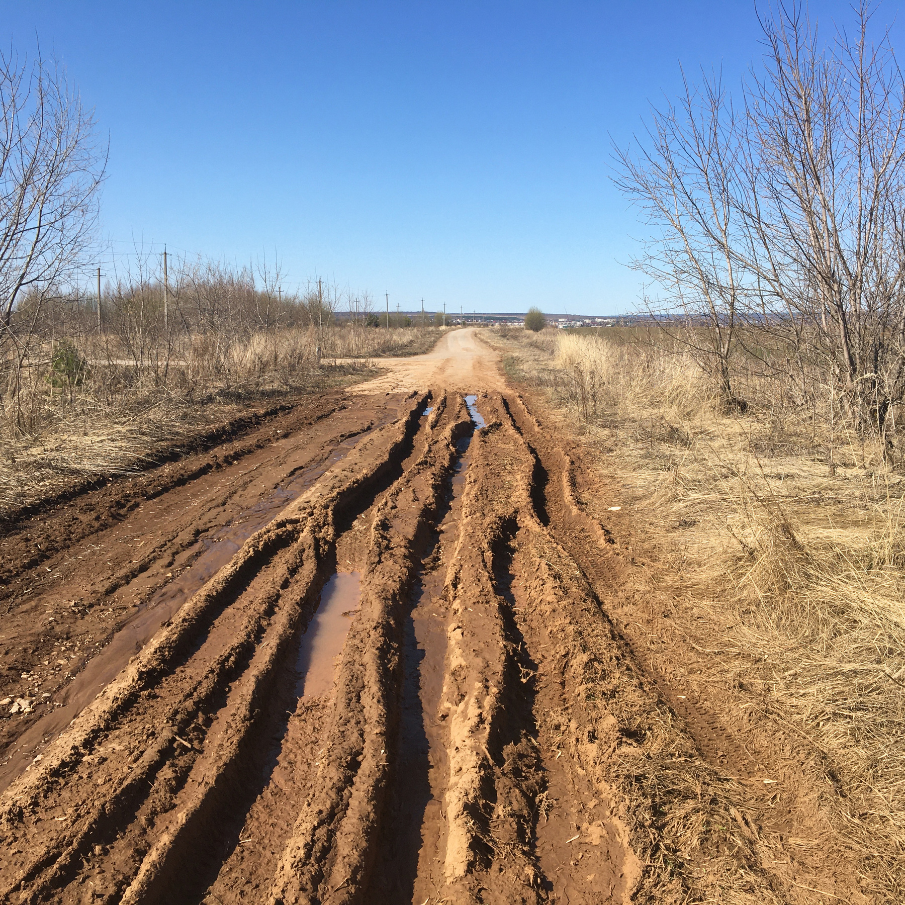 • 