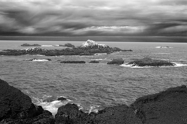 На берегу пустынных волн Point Lobos